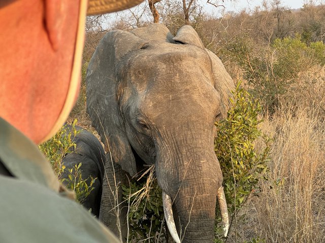 [Linked Image from i.postimg.cc]