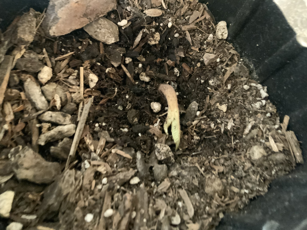 A8468A68-4C2E-4FD9-97D6-668FE86642A5