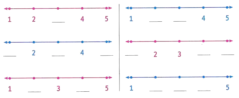 Number Line Image