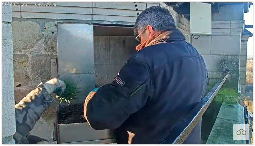 Screen Shot 01-26-25 at 11.00 AM