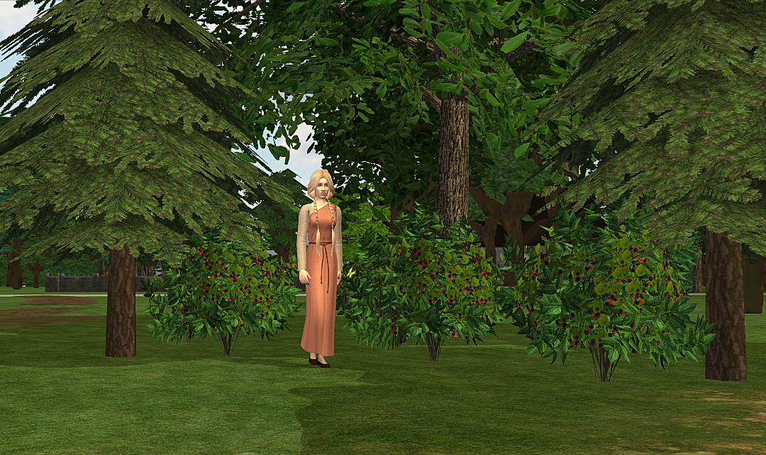 screenshot-2026-09-19-15-37