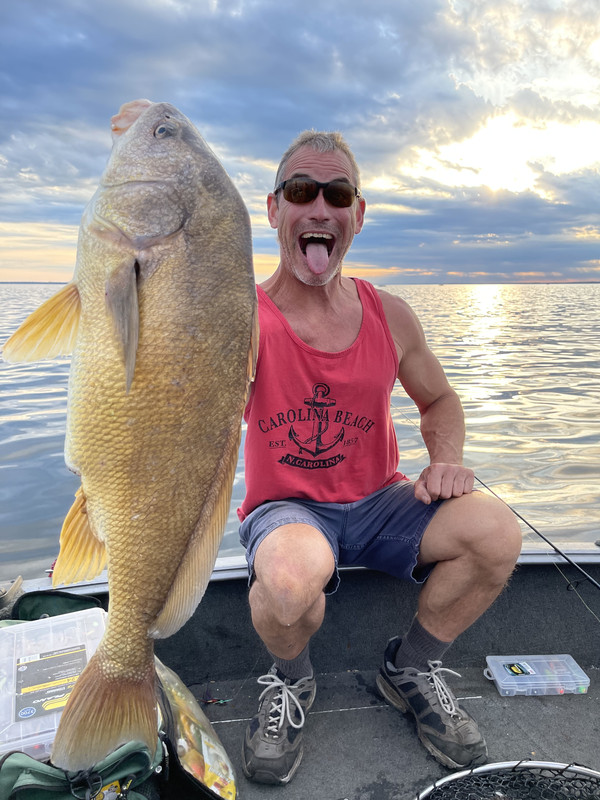 C423BEB9-4F90-49DD-957E-A2137028B4E0