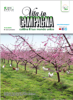 Vita in campagna N.4 - Aprile 2018
