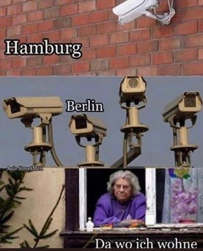 453543.jpg