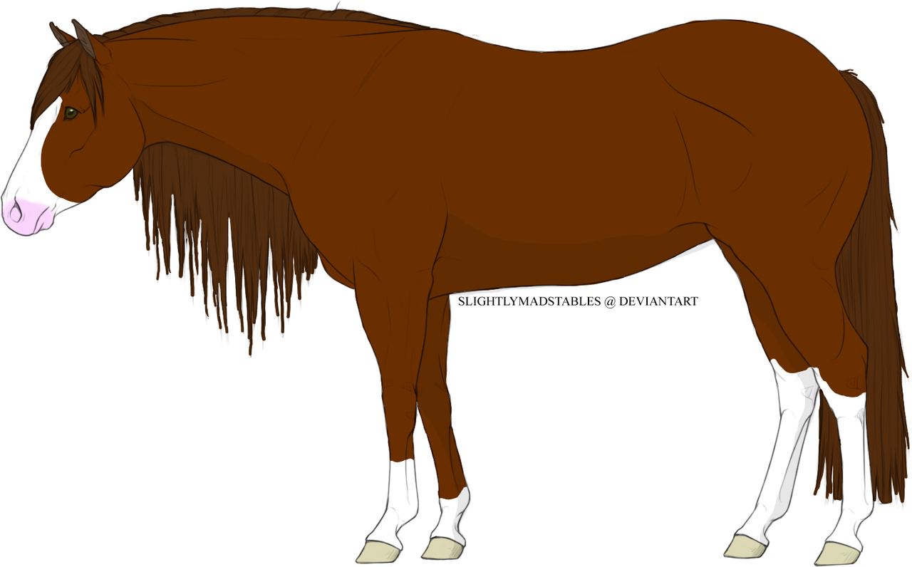 2025-02-12-0r1-Kleki.png