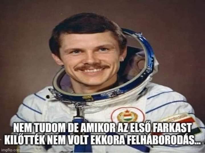 45545442dl.jpg