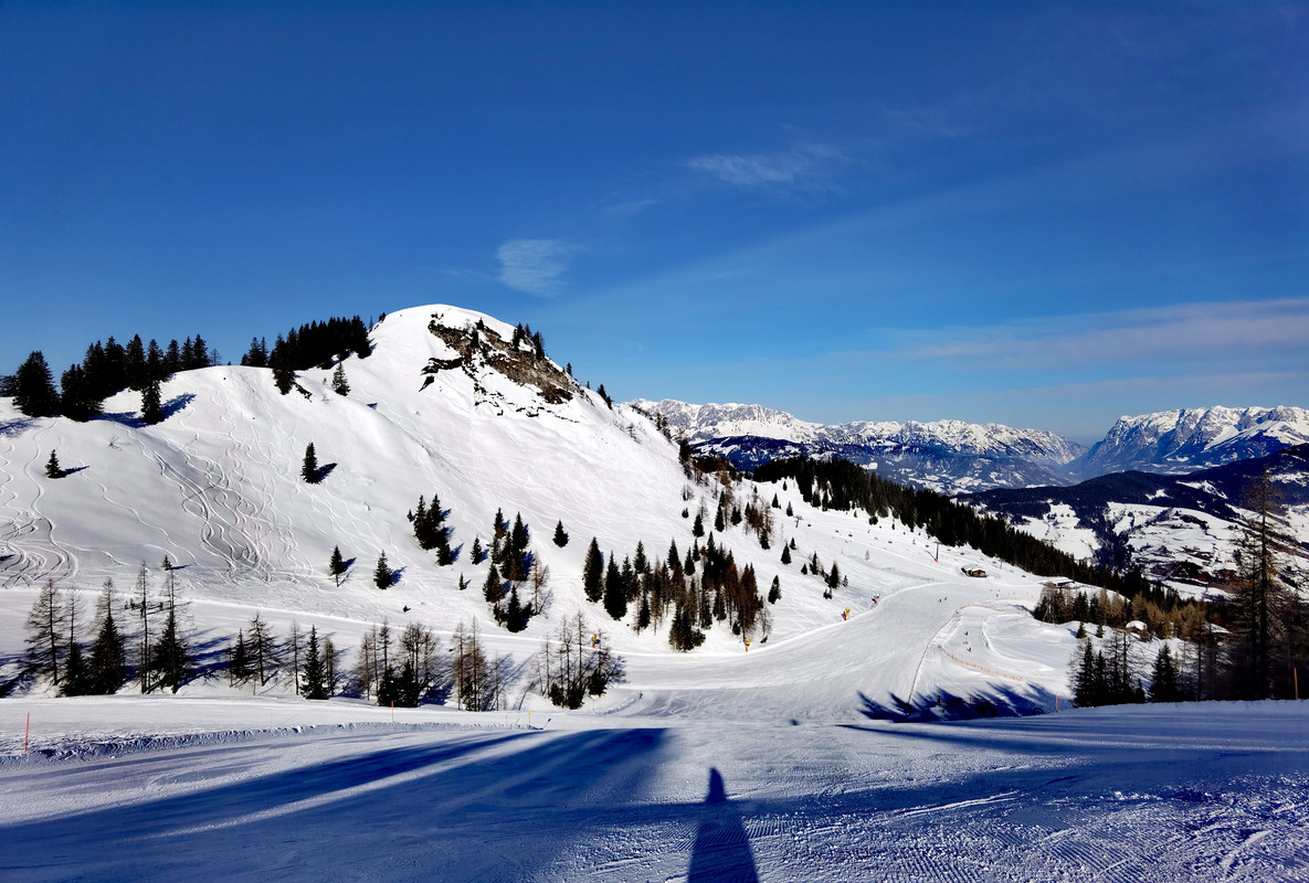 IMG_20220303_094617_edit_227555479701214