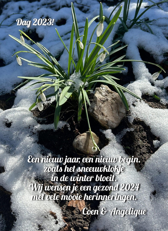 DA3F346F-0C39-4972-8691-541F38094B0C