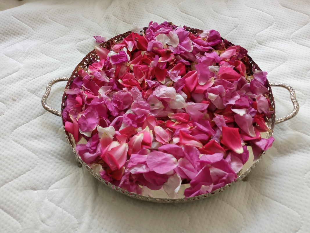 [Image: 20220526-115425.jpg]