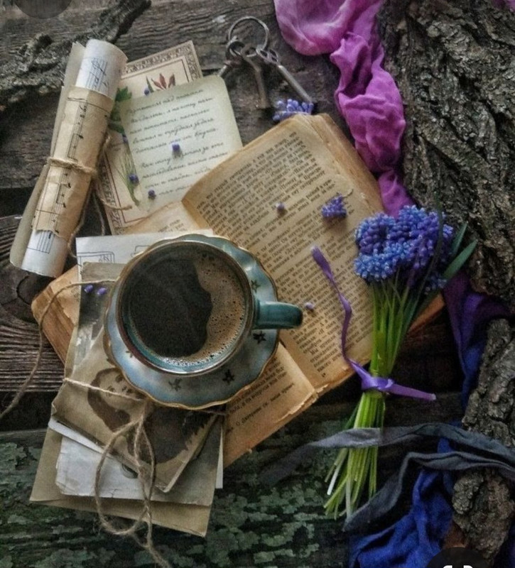 Screenshot_20240203_193548_Pinterest