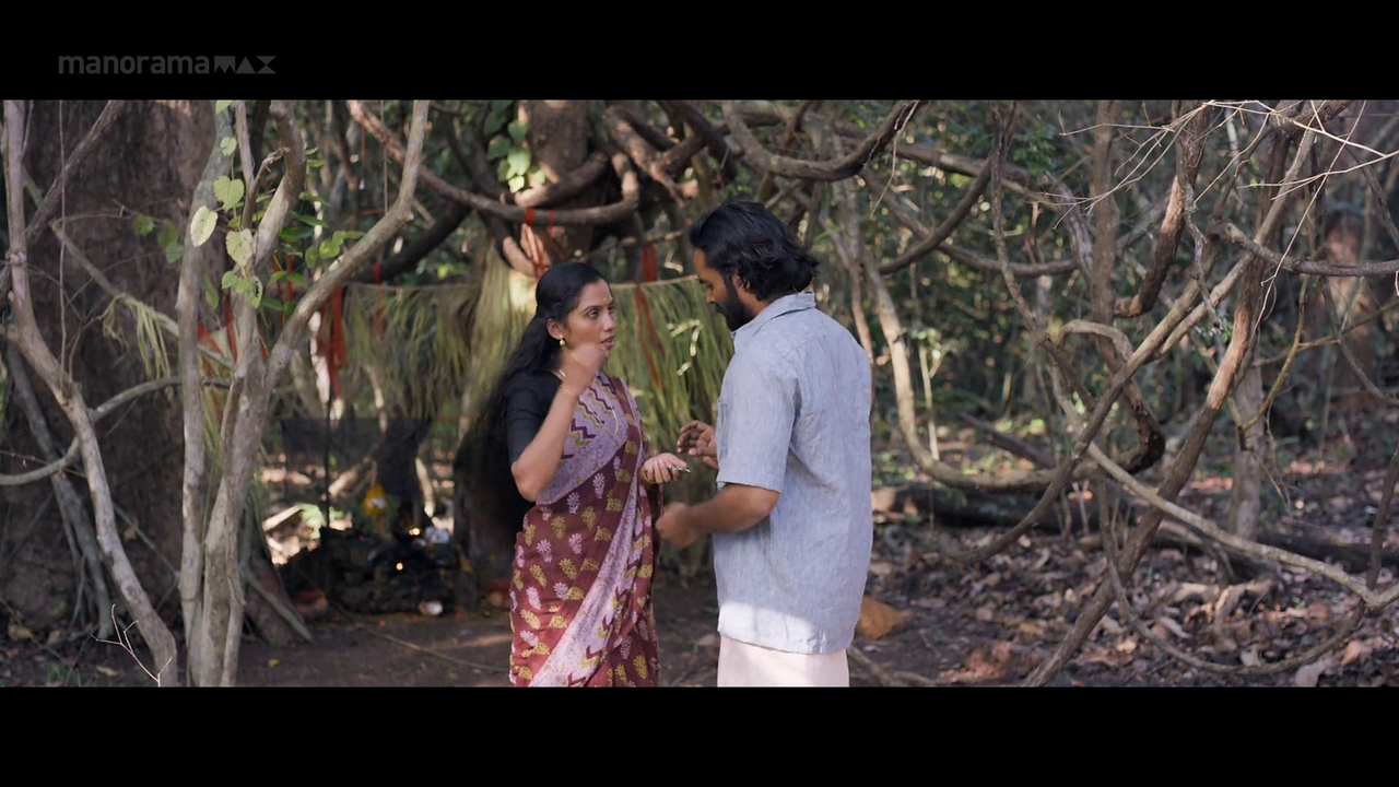 vlcsnap 2026 02 06 18h02m17s257