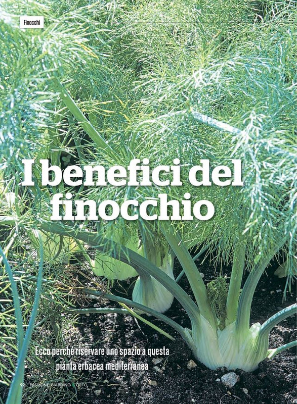 Pass Giar e Orto Lug-Ago-Set 2022 (9)