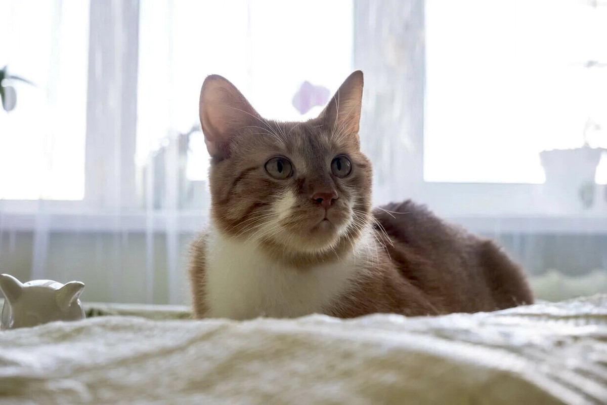 DC9D52DF-5A01-4880-B270-D33705D20F3E