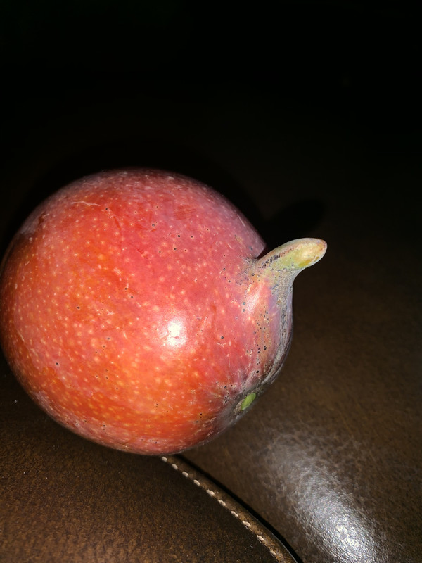 970E6C83-61FC-4331-85DB-311433C01AA3