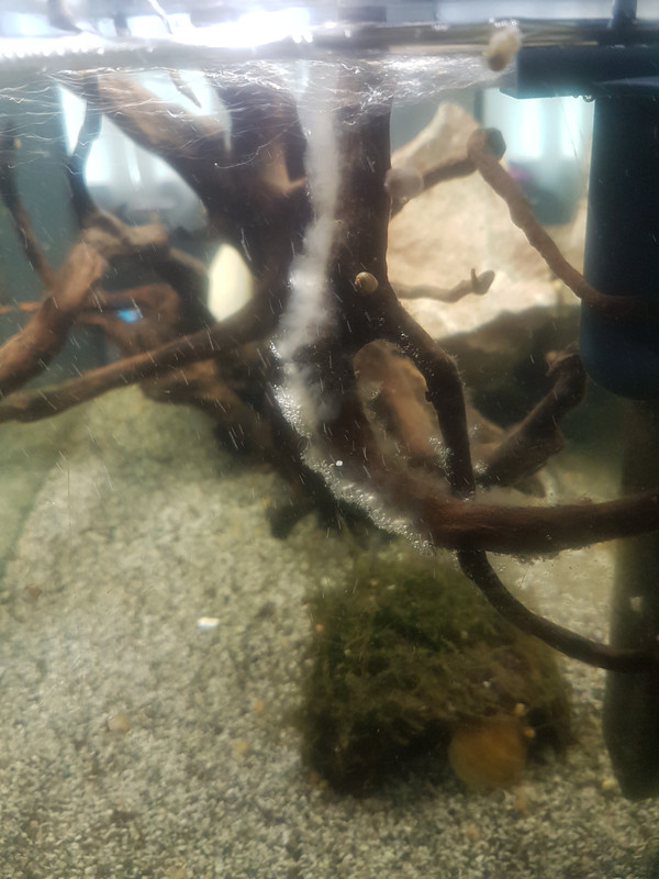 15676013130475348776007319797938