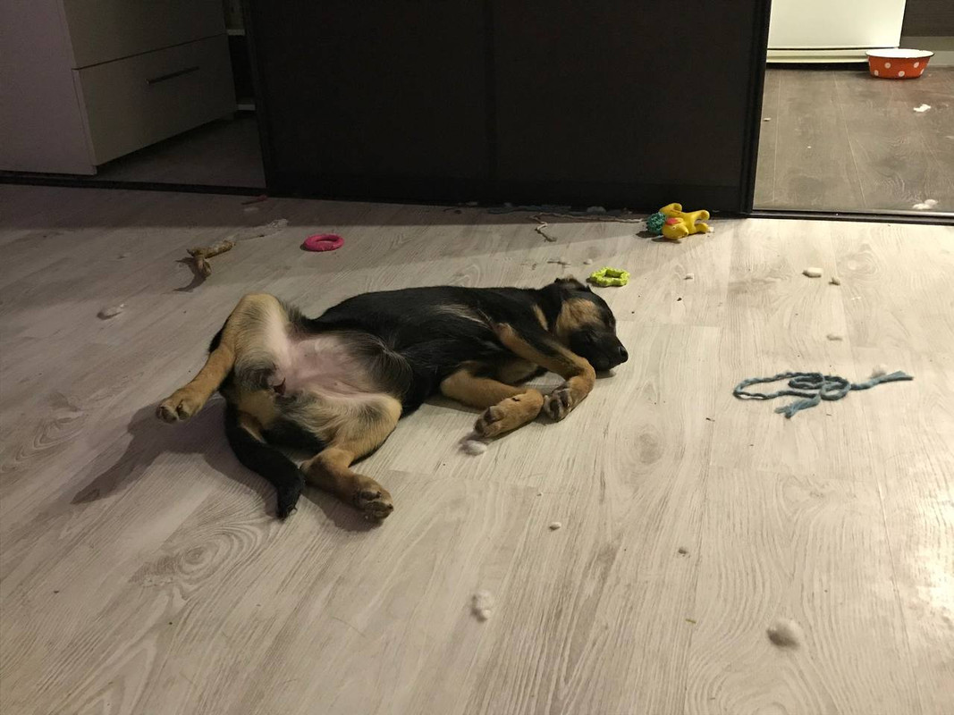 E995FE21-FDEF-4453-B405-7CFE24FE5CA3