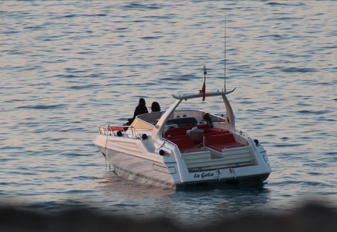 emmawatson-updates.com (81)