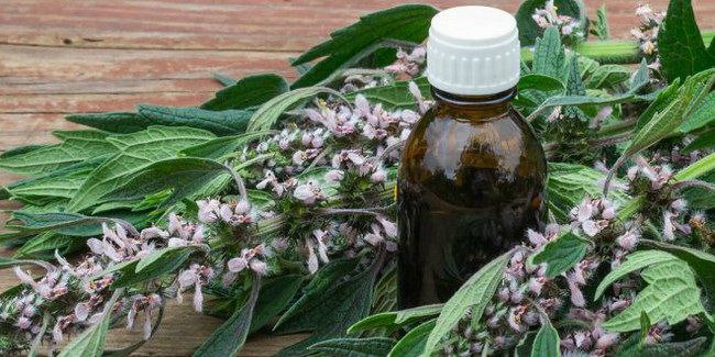 [Изображение: photo-2025-11-22-04-33-08.jpg]