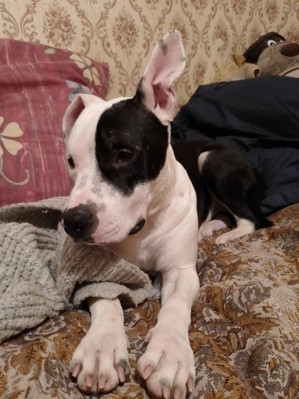 5E30E77A-A229-4F12-9FEA-A2CC860736C5