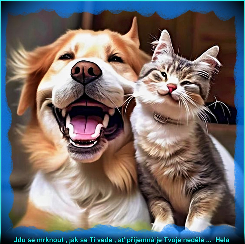 neděle16.3.2025úúúpr