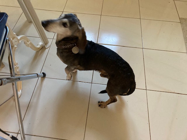 [Image: IMG-3907.jpg]