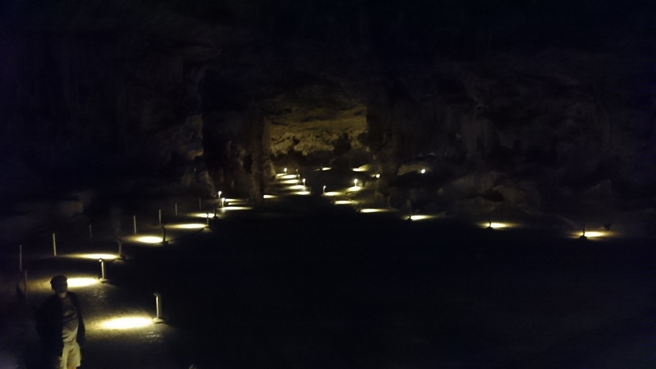 DSC_01 (186)