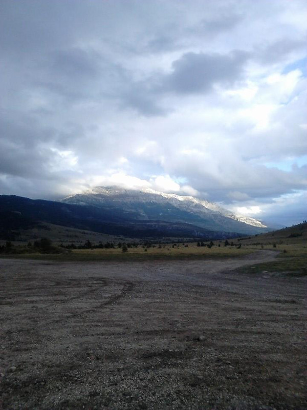 14632855_707023119452934_2160282474733051302_n (