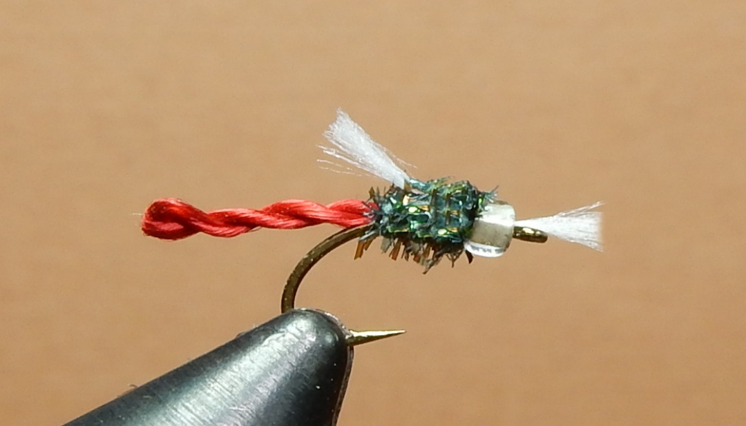 Twisted-Midge-1080.jpg