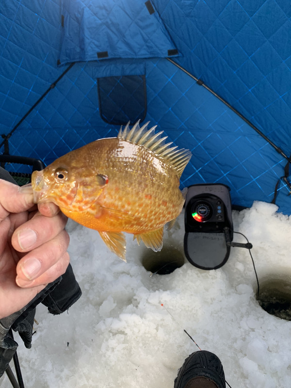 FDF7EC23-67E2-4BBC-AC16-503A73F4474A