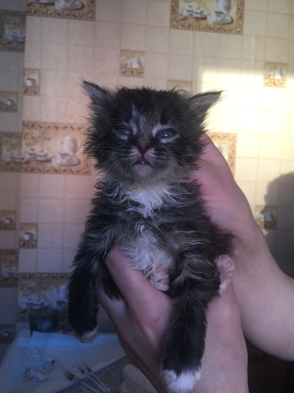 44ED14F7-B36A-4F9A-866F-16E2B8D517AB