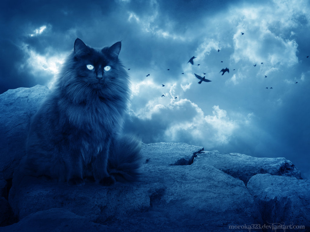 the-hunter-by-moroka323