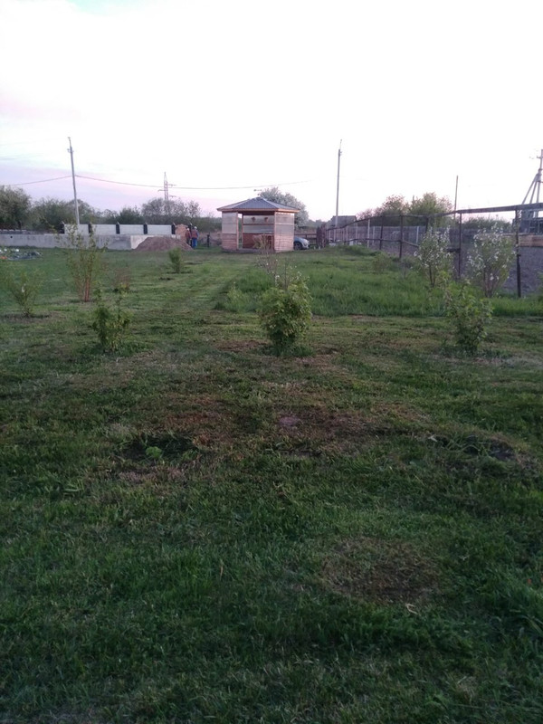 IMG-5936bf7f4c336ef2ccc54164e3915ae5-V