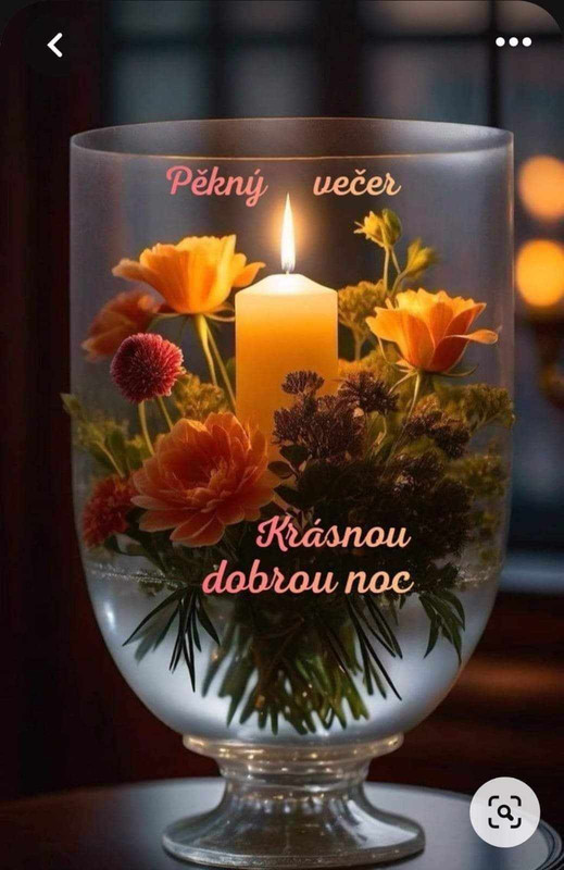 462568486_3977121602617200_384505909664093302_n