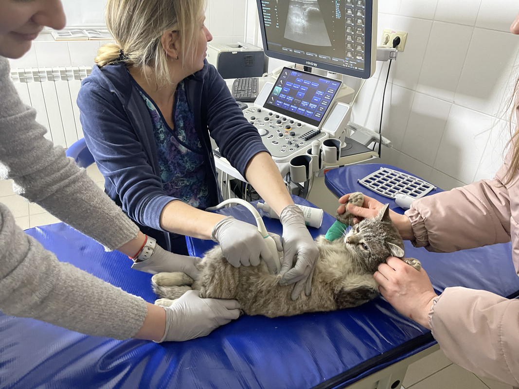 A052E5B6-1570-483C-B106-EE59F107CEF7