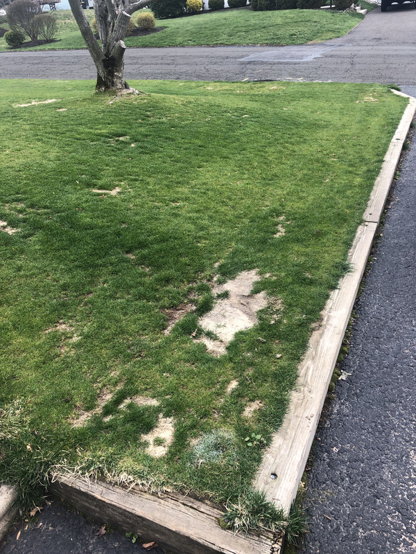 D5AB634B-C7DF-4C73-A4B5-85A8A8E67A38