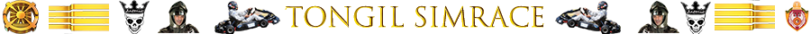 [Image: Tongil-simrace-c.png]