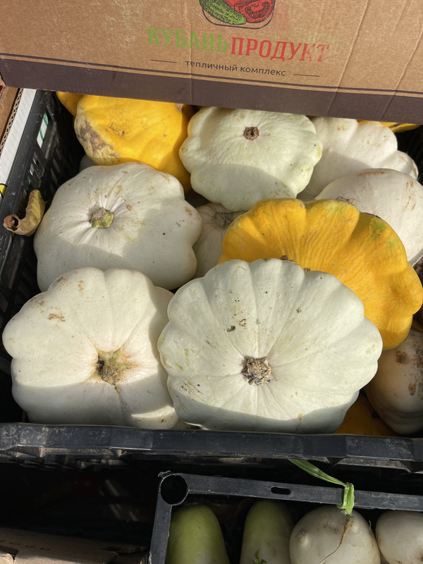 7FE42674-2B00-46E8-AAA2-0C3D460EFC4C