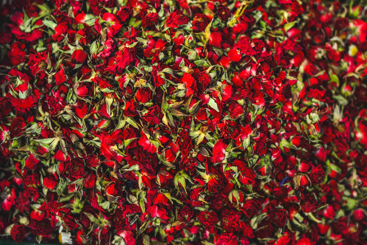 Rose Duvet
