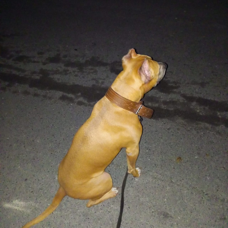 7DAAB7C3-27EF-480C-B055-516B025DCBEA