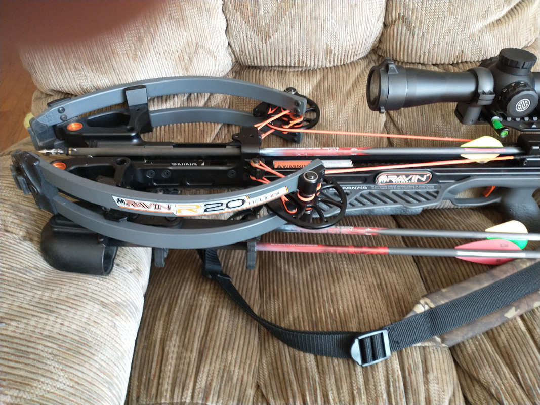 IMG_20221010_130730459