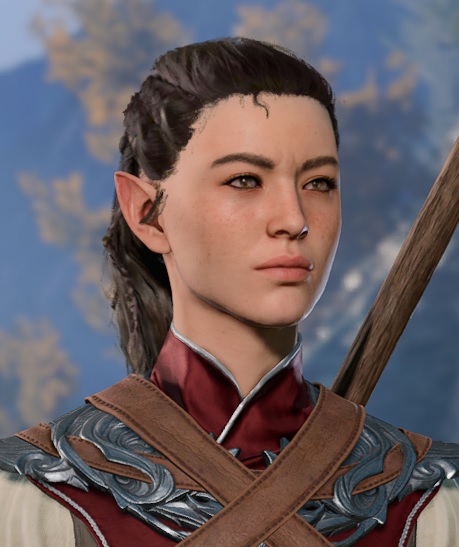 I tried to create Dragon Age Origins companions in BG3 : r