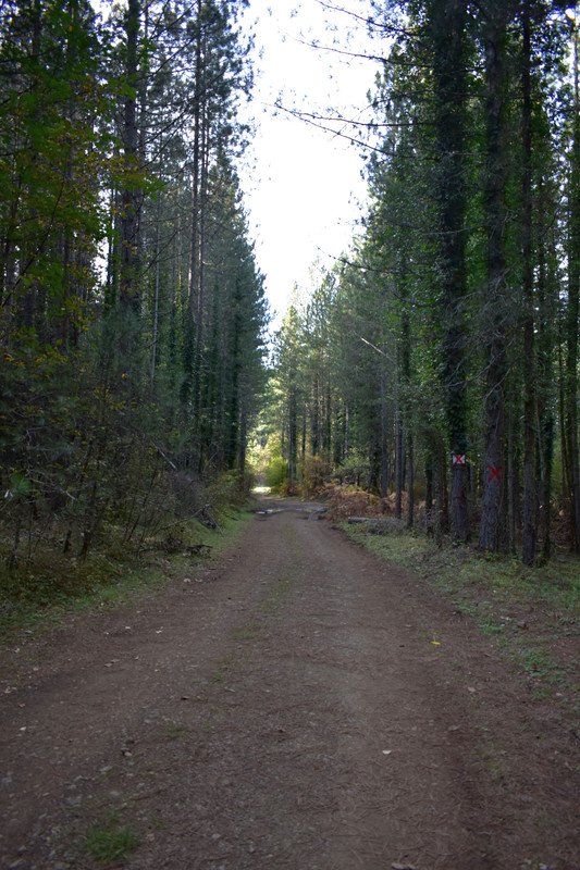 Βάλια Κάλντα (10)