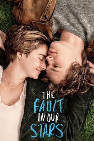 The Fault in Our Stars 2014 1080p HULU WEB-DL DDP 5 1 H 264-PiRaTeS