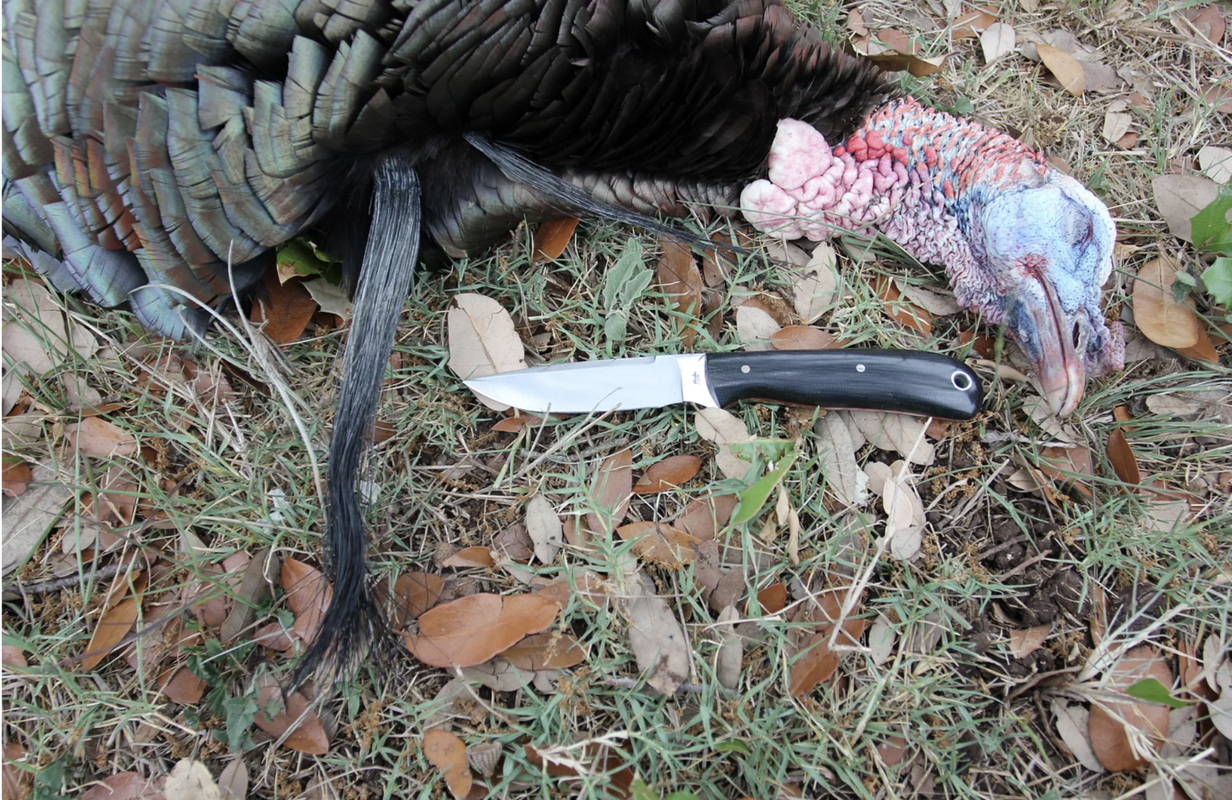 Screen Shot 2025-06-11 at 1.38.36 PM