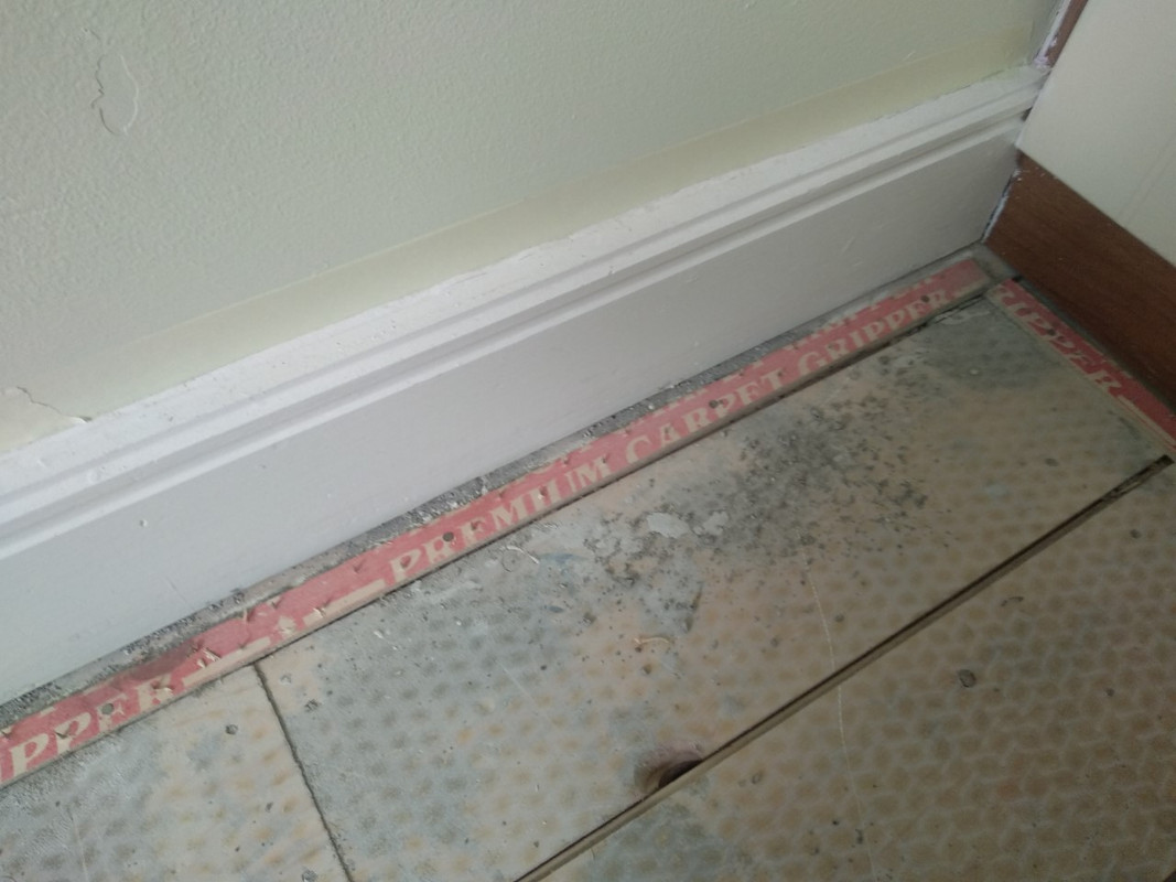 thumbnail_IMG_20210605_112318