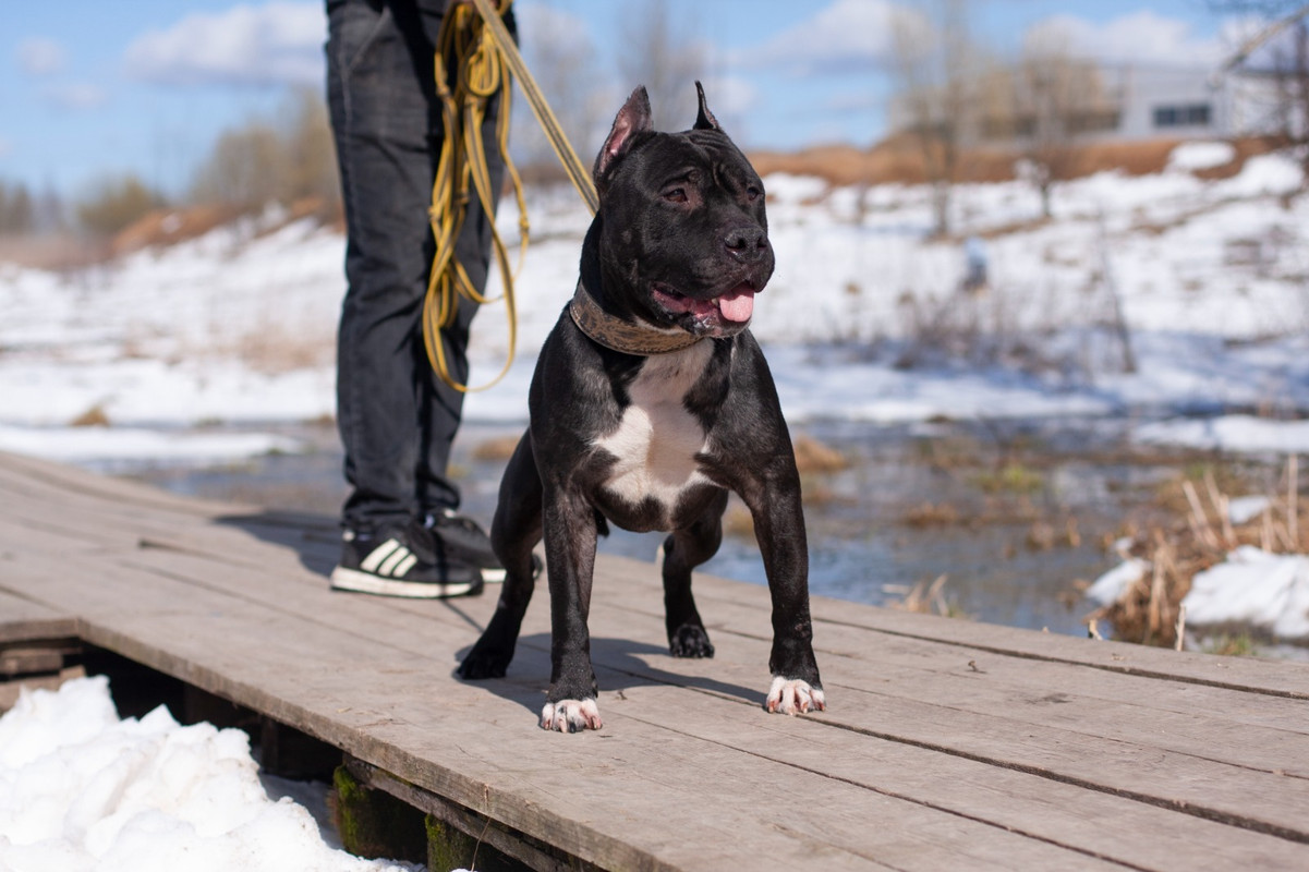 WhatsApp Image 2025-04-20 at 17.03.38 (1)