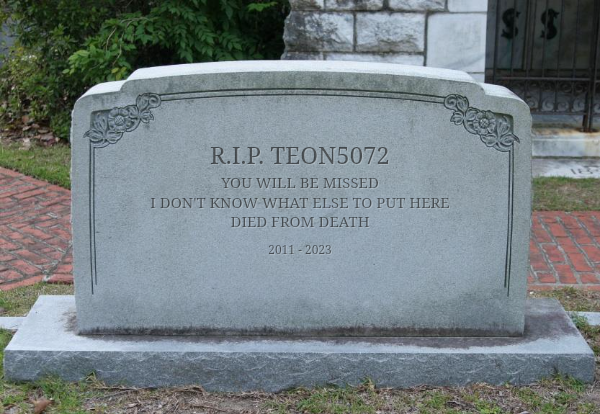 https://i.postimg.cc/ZR5JdJxB/tombstone.png