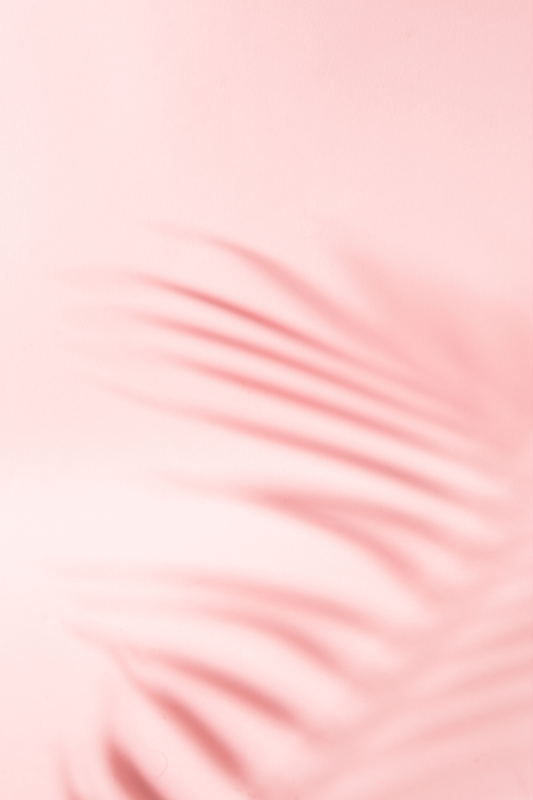 Palm Leaf