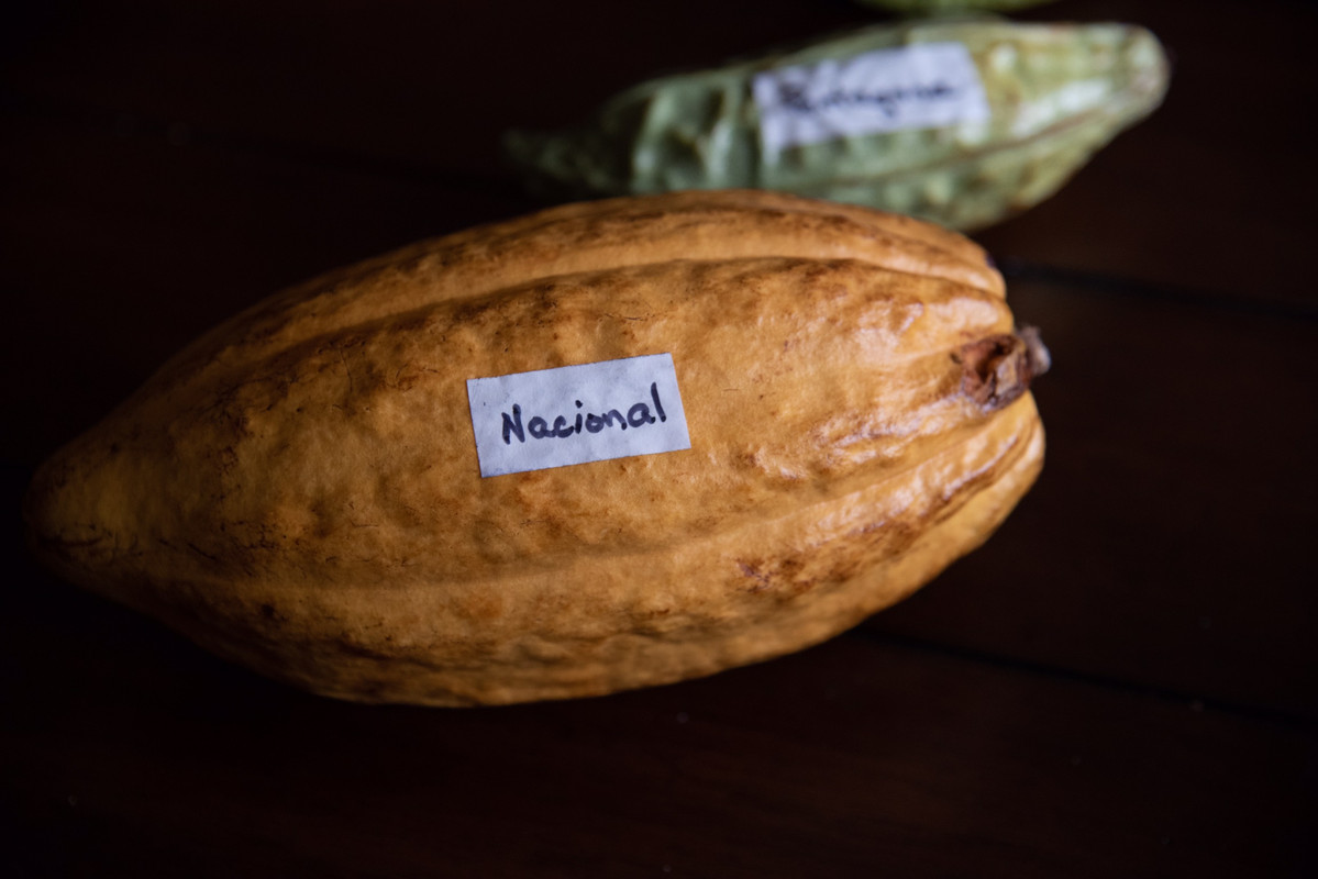 9917FE2F-3C10-45C8-AAED-3FF0E20449C1