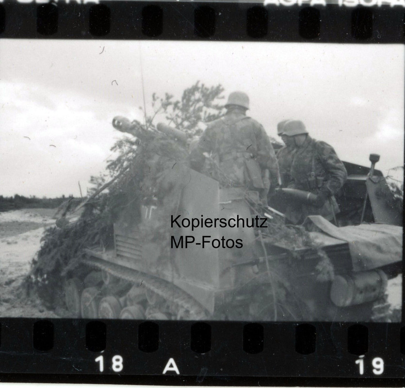 Foto Panzer LW Felddivision HG Tiger Camo Tarn S